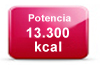 potencia-calefaccion-biomasa-13300kcal