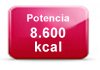 potencia-calefaccion-biomasa-8600kcal