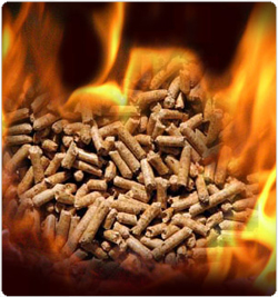 ¿Dónde comprar pellets...? estufas-pellets-comprar-pellets1