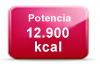 Potencia 12.900 kcal potencia-calefaccion-biomasa-12900kcal